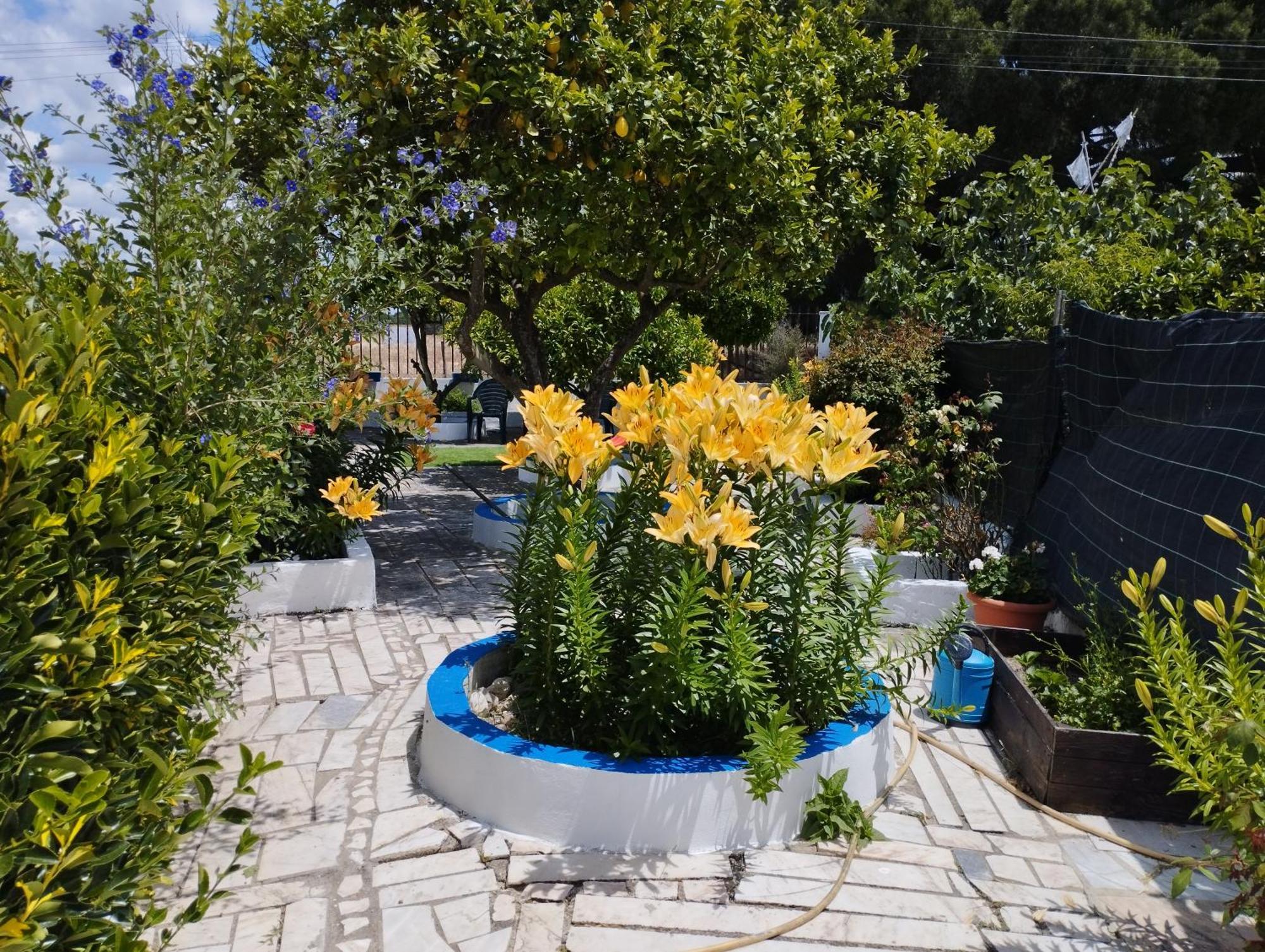 Monte Sol Nascente Villa Grândola Buitenkant foto