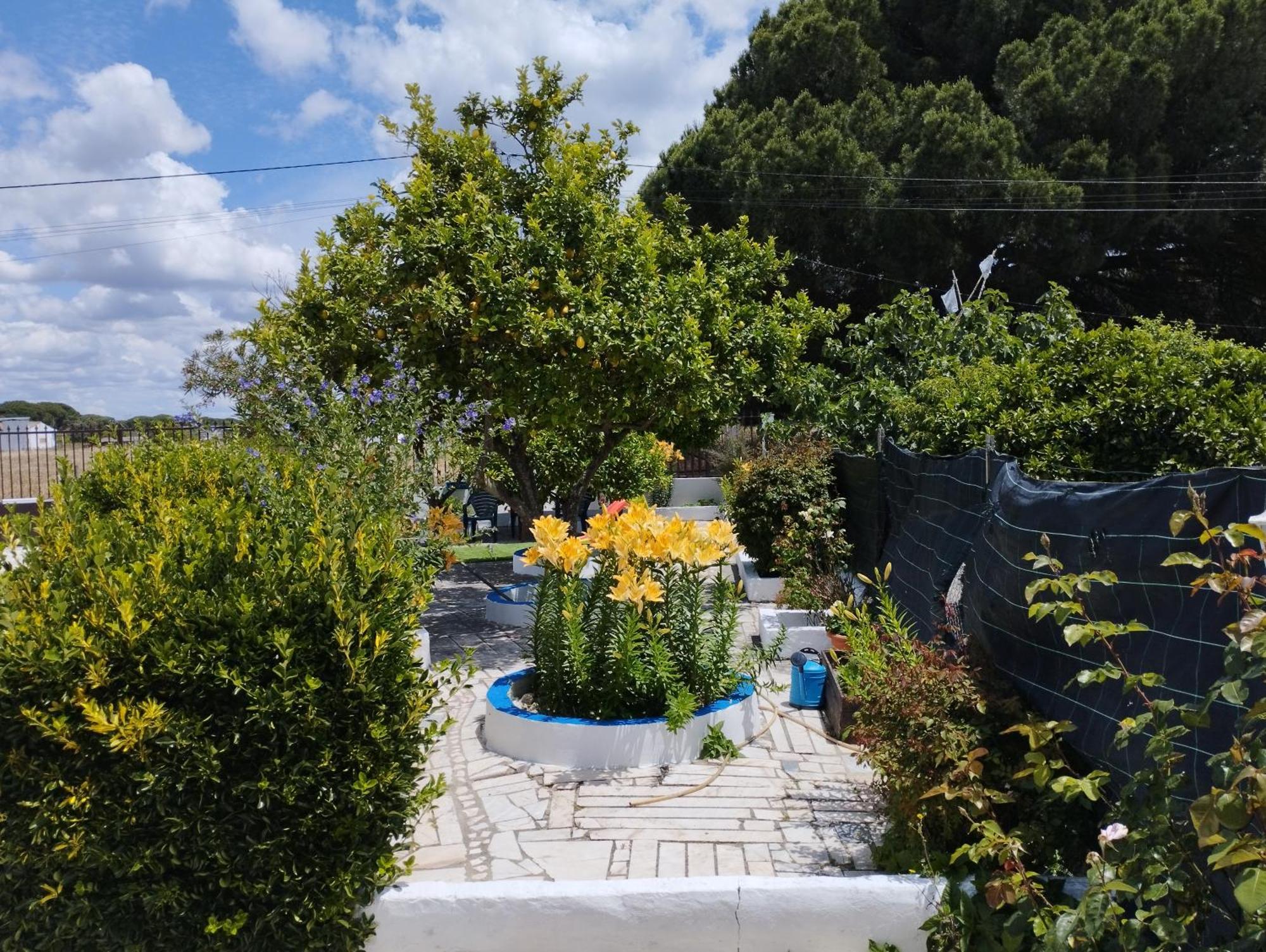 Monte Sol Nascente Villa Grândola Buitenkant foto
